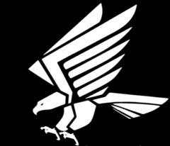 CrossFit® Black Falcon